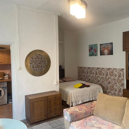 Frendlen Metsa Apartment بارنو المظهر الخارجي الصورة